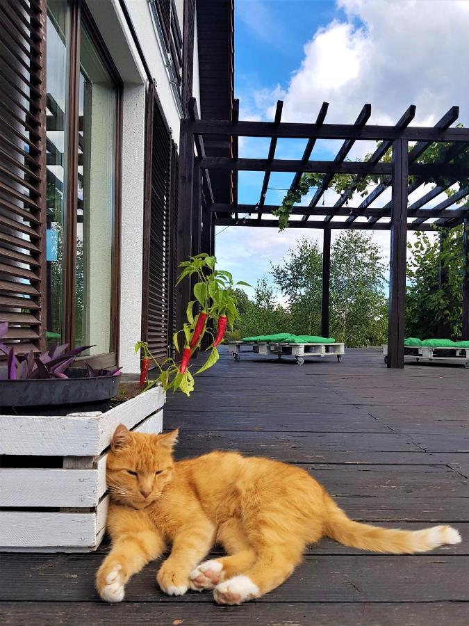 Siedlisko Gregorowo Lägenhet Ustka Exteriör bild