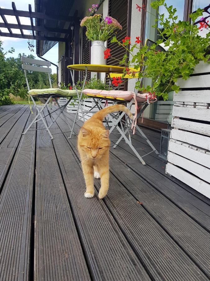 Siedlisko Gregorowo Lägenhet Ustka Exteriör bild